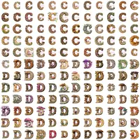 Watercolor Letters C and D alphabet clipart grid view showing variety of decorative styles with mushrooms and oak wood texture. Perfect for digital scrapbooking, stickers, and educational resources. Commercial use PNGs.