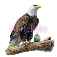 Realistic watercolor bald eagle perched on a wooden log next to a green cactus. Bird of prey illustration. Commercial use file for nature themed apparel.